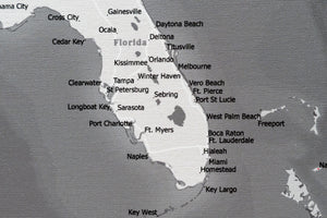 United States with Cities and Roads - Push Pin Map