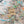 Washington Oregon Off Road Trails - Push Pin Map