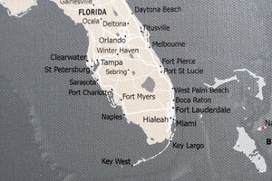 United States with Cities and Roads - Push Pin Map