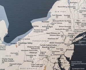 USA National Parks - Push Pin Map