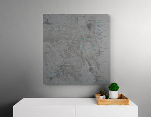 Colorado Fourteeners - Push Pin Map