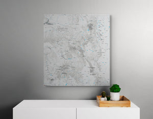 Colorado Fourteeners - Push Pin Map