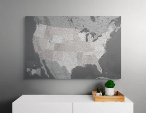 United States with Cities and Roads - Push Pin Map